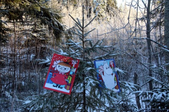 Muumipeikko- ja Pikku myy -joulukalenterit kuusessa metsän keskellä.