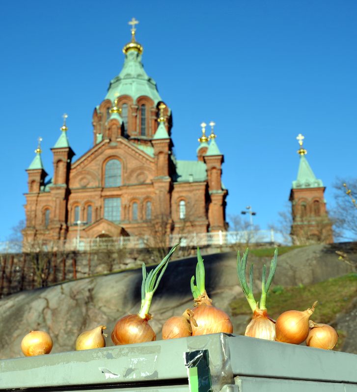 Sipuleita sähkökaapin päällä, taustalla Uspenskin katedraali.