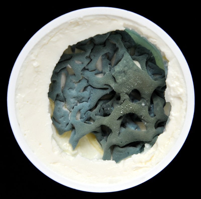 Rahkaa ja vihreää hometta pyöreässä purkissa.