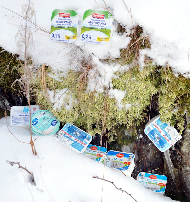 Erilaisia rahkapakkauksia talvisen sammalen ympärillä.