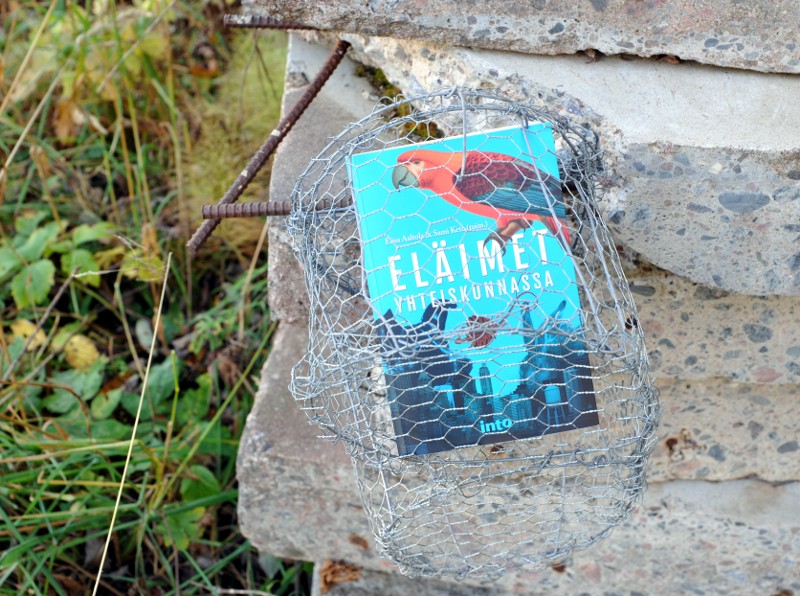 Eläimet yhteiskunnassa -kirja katiskan sisällä betonilaattojen edessä, vieressä ruohoa.