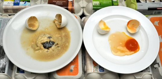 Kaksi rikottua kananmunaa. Vasemmalla lautasella mädäntynyt muna, oikealla mädäntymätön. Taustalla kananmunapakkauksia.