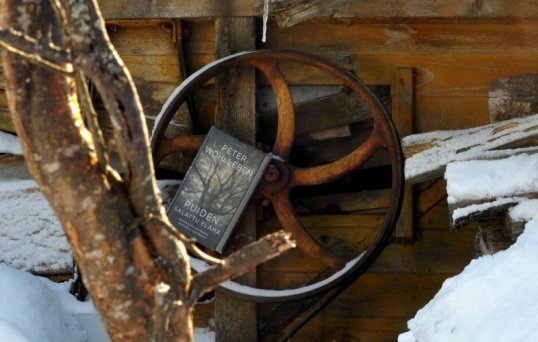 Puiden salattu elämä -kirja puimakoneen hihnapyörällä. Etualalla puu.