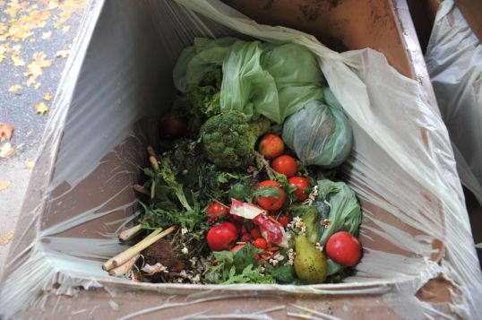 Parsakaali, päärynä, omenoita, tomaatteja ja muita kasviksia biojäteastiassa.