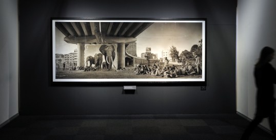 Valokuva Nick Brandtin valokuvasta, jossa valokuva norsuista on asetettu sillan alle pylväiden väliin liimaa pullo suussa imppaavien afrikkalaisten lasten viereen.