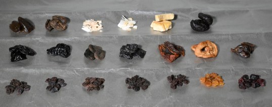 Rusinoita sekä kuivattuja luumuja, aprikooseja, päärynöitä, omenoita, taateleita, kookoslastuja, mangoa ja viikunoita.