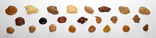 23 sinappinäytettä valkoisella tasolla.